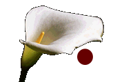 wp1e36f70b.png